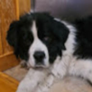 Meet your Posher, Haylee